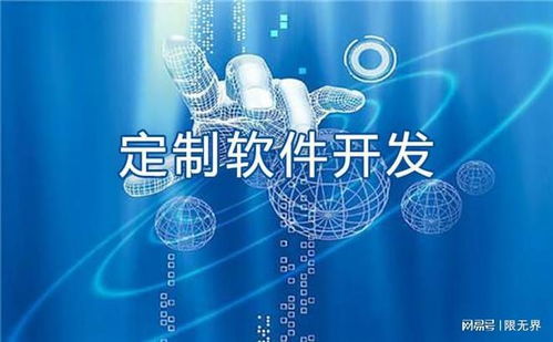 上海五家代表性軟件開發企業深度解析 技術實力與發展路徑